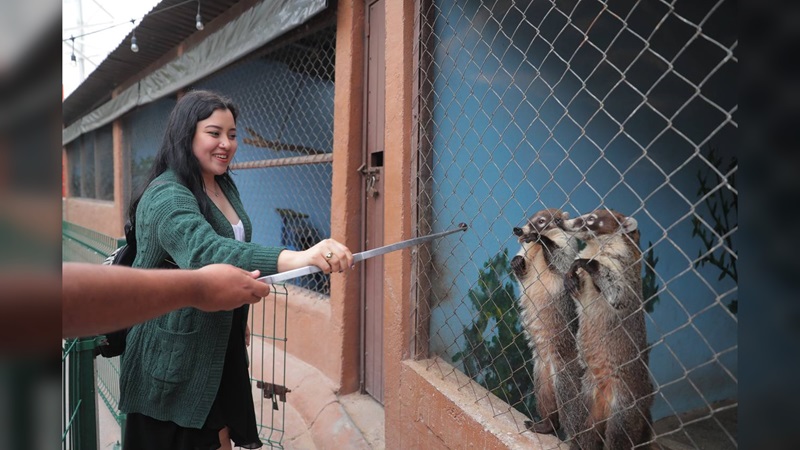 Anuncia Zoo de NLD “Amorosas actividades”, este 14 de febrero