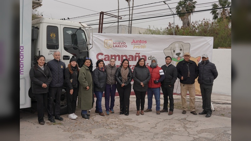 Arranca NLD campaña de esterilización de perros y gatos callejeros