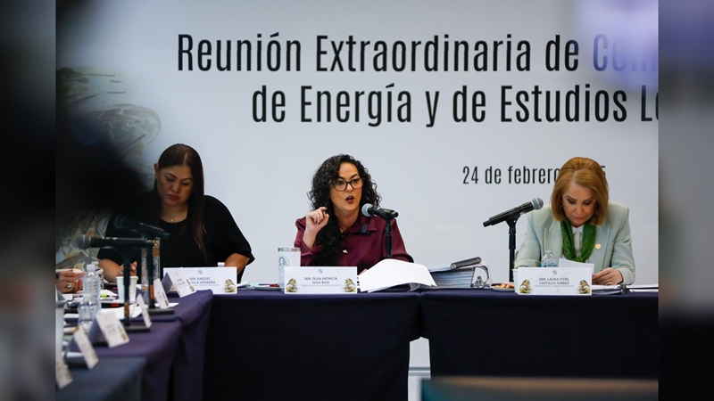 “Con la reforma energética, se cumplirá con la función social”: Olga