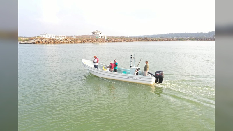 Detecta la Marina pesca ilegal en costas de Tamaulipas
