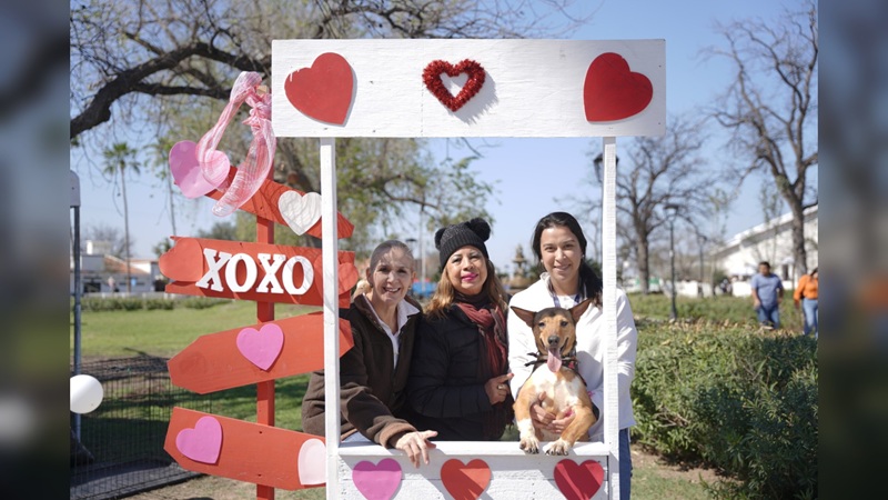 ¡Exitosa Feria de Adopciones en NLD!