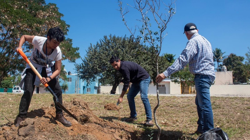 Fomenta la PAUT cultura ecológica con donación de árboles