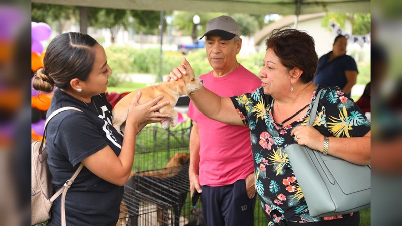Invita NLD a Feria de Adopción Canina y Felina en ‘Día del Amor y la Amistad’