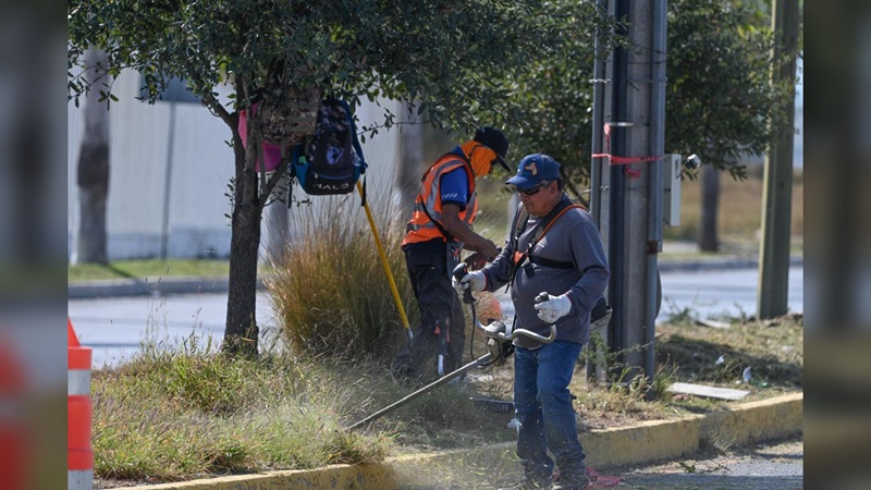 Municipio limpia y conserva 35 mil metros lineales de avenidas y jardines