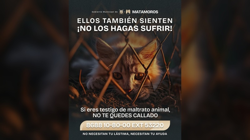 Pide alcalde Beto Granados denunciar el maltrato animal