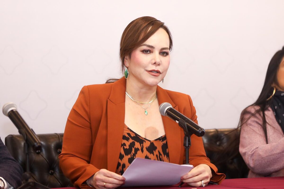 Carmen Lilia denuncia violencia política de género