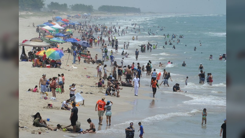 Piden a turistas cuidar llegada de tortugas en las playas de Tamaulipas