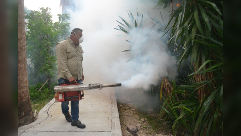Reportan a Tamaulipas libre de Chikungunya y Zika, pero registra 118 casos de dengue