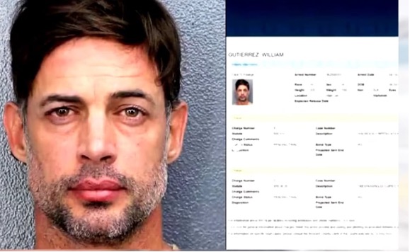 William Levy niega acusaciones en su contra