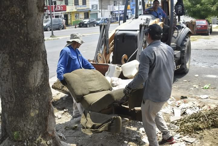 En Tampico limpian y combaten al dengue