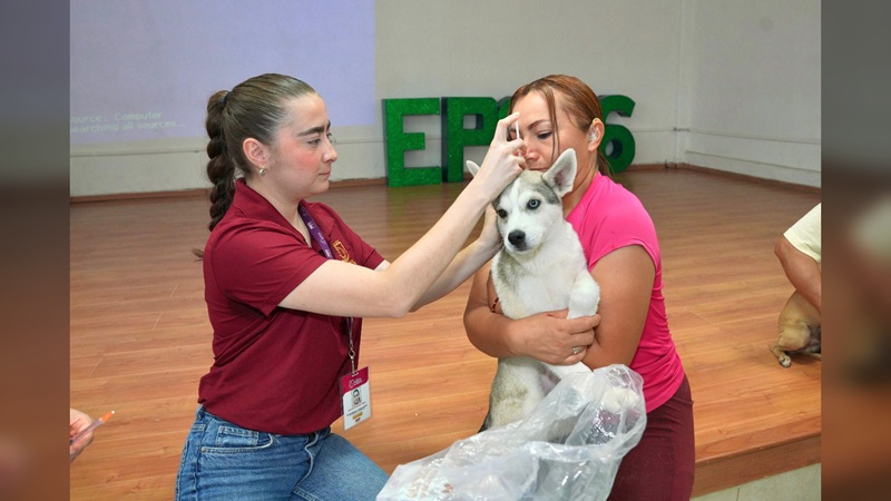 Concientizan a estudiantes del CONALEP sobre respeto a los animales