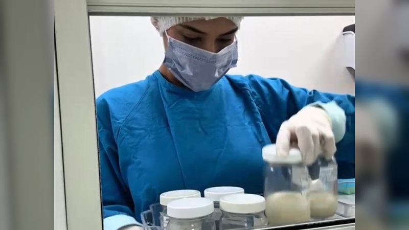 Conmemora SST ‘Día Mundial de la Donación de Leche Humana’