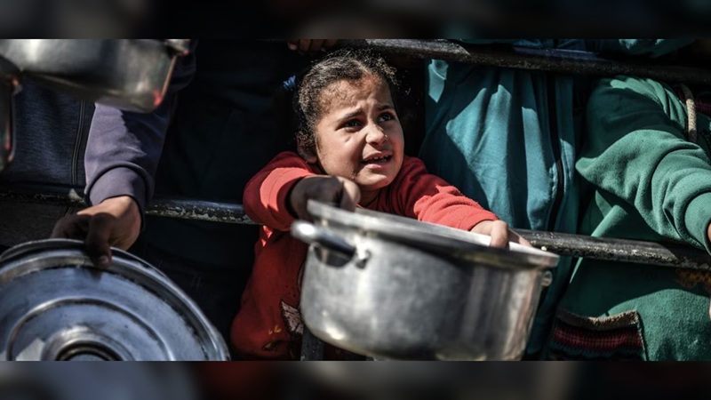 “Más de 9 mil niños con desnutrición en Gaza”: Unicef