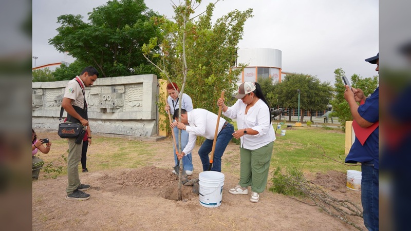 Impulsa NLD campaña de reforestación en espacios públicos y educativos
