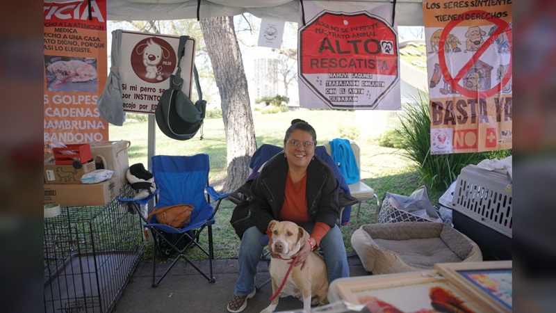 NLD invita a dar un hogar a un amigo peludo en la ‘Feria de Adopción Canina y Felina’