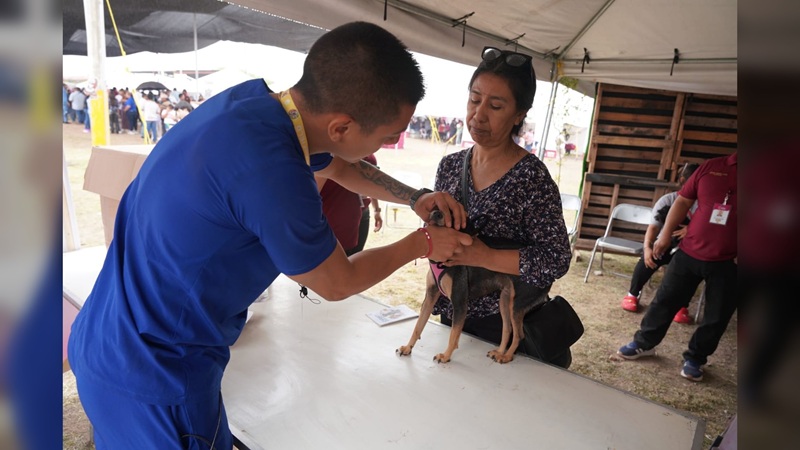 “Presidencia cerquita de ti” llegará a la Colonia Solidaridad