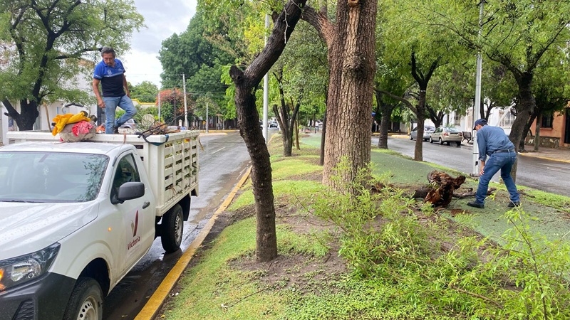 Activa Gobierno de Victoria operativo por periodo de lluvias