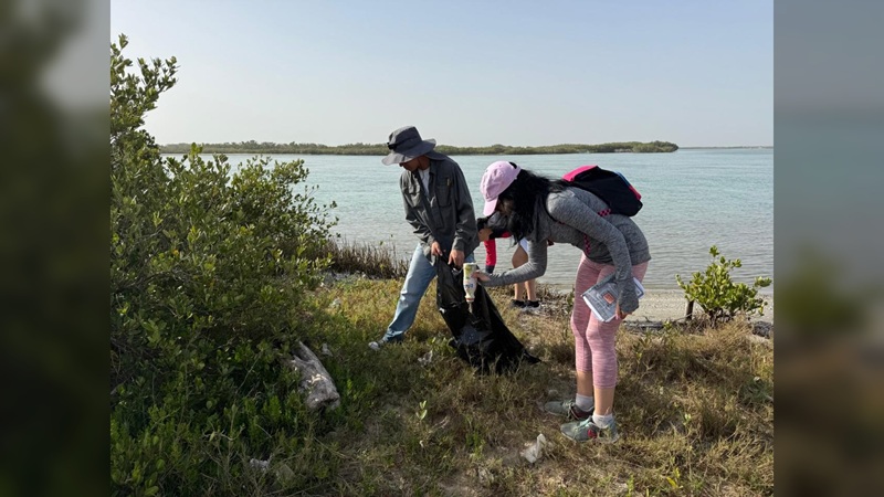 Colabora la UAT en la conservación del mangle en el litoral tamaulipeco