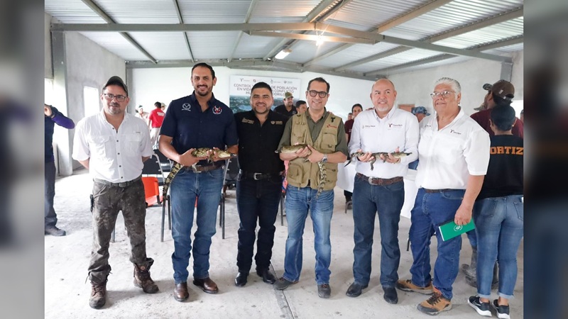 Colabora la UAT en la conservación y control del cocodrilo morelet
