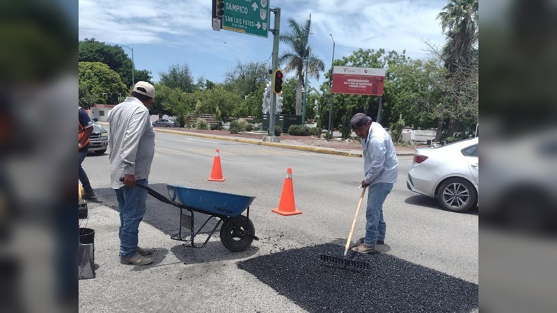Intenso operativo de bacheo tras reportes por lluvias en la Capital