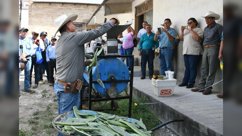 Promueven el uso del nopal como estrategia alimentaria sustentable