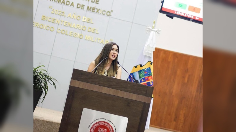 Propone Katalyna regular sanciones por el uso de armas ante el Congreso de la Unión