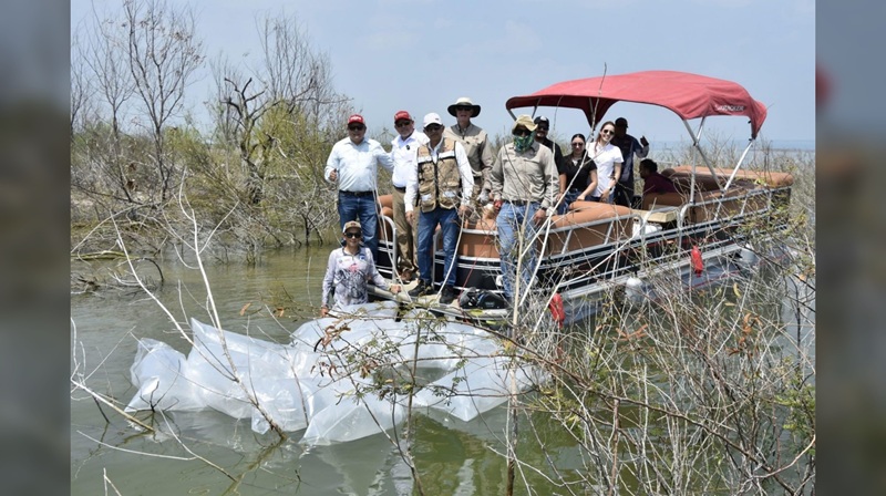 Siembran lobinas en la presa Vicente Guerrero para impulsar la pesca deportiva