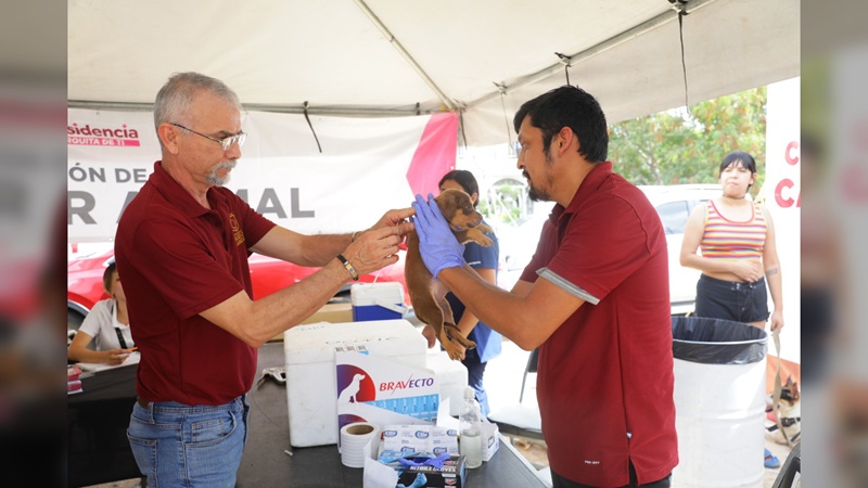 Continúa Gobierno de NLD impulsando el ‘Bienestar Animal’