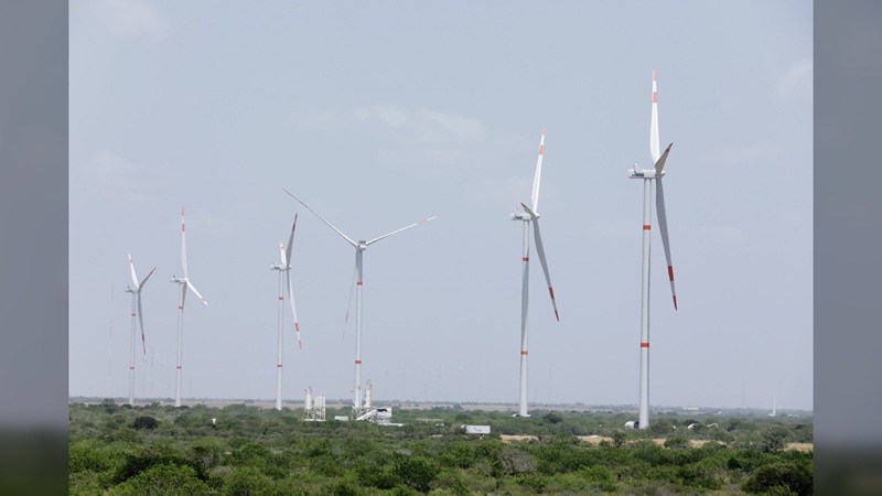 Lidera Tamaulipas producción de energía eólica en México