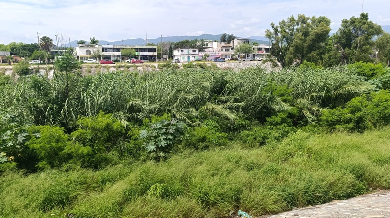 Prepara CONAGUA desalojo de 27 viviendas en cauce del río San Marcos