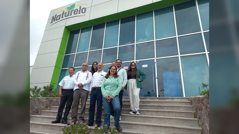 Realizan 2.ª prueba para la fabricación de harina nixtamalizada de sorgo blanco