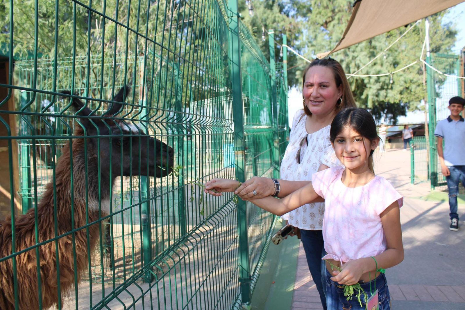 Zoo de NLD ofrece divertidas interacciones animales
