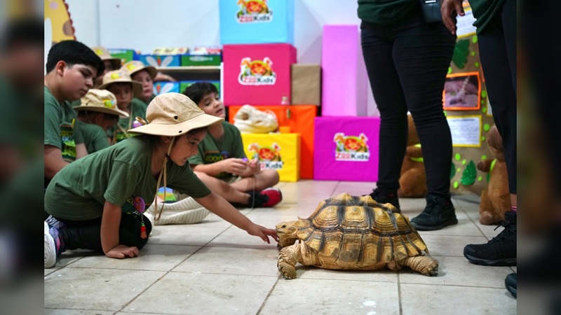 Inicia el programa educativo ‘ZooKids’ en el ZOO de NLD