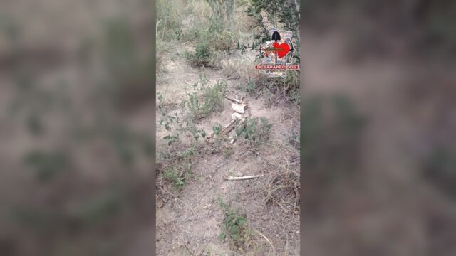 Confirman hallazgo de restos humanos en Miguel Alemán