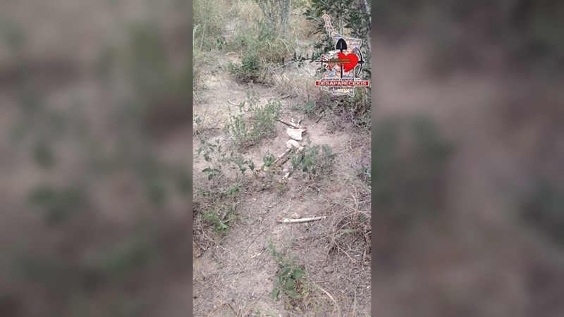 Confirman hallazgo de restos humanos en Miguel Alemán