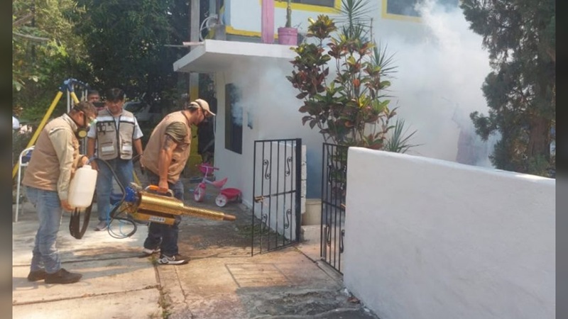 Tamaulipas mantiene baja incidencia de dengue y sin casos de otras enfermedades transmitidas por mosquito