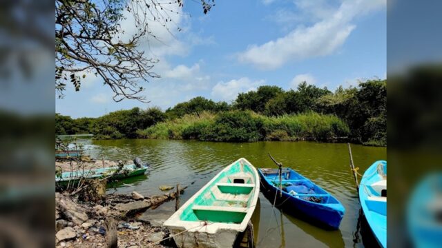Veda para la captura de robalo entra en vigor en costas de Tamaulipas